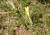 Img.VTax3380.Ex1.Img5