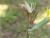 Img.VTax3380.Ex1.Img6