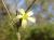 Img.VTax3380.Ex1.Img7