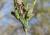 Img.VTax3380.Ex1.Img8