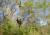Img.VTax3380.Ex1.Img9