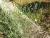 Img.VTax3380.Ex2.Img1