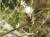 Img.VTax3380.Ex2.Img3