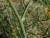 Img.VTax3380.Ex2.Img5
