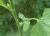 Img.VTax3382.Ex2.Img1