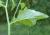 Img.VTax3382.Ex2.Img2