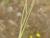 Img.VTax3388.Ex2.Img2