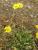 Img.VTax3388.Ex2.Img3