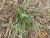 Img.VTax3388.Ex3.Img1