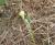 Img.VTax3388.Ex3.Img2