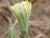 Img.VTax3388.Ex3.Img3
