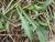 Img.VTax3388.Ex3.Img4