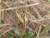 Img.VTax3388.Ex3.Img5