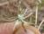 Img.VTax3388.Ex3.Img6