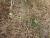Img.VTax3388.Ex3.Img7