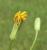 Img.VTax3389.Ex2.Img1