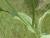 Img.VTax3389.Ex2.Img2