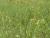 Img.VTax3389.Ex2.Img3