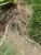 Img.VTax3389.Ex2.Img6