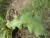 Img.VTax3389.Ex2.Img7