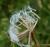 Img.VTax3389.Ex2.Img8