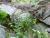 Img.VTax3394.Ex3.Img1