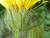 Img.VTax3394.Ex3.Img2