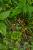 Img.VTax351.Ex1.Img1