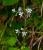 Img.VTax351.Ex1.Img3