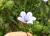 Img.VTax3519.Ex1.Img1