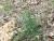 Img.VTax3519.Ex1.Img2
