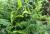 Img.VTax3542.Ex3.Img1