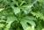 Img.VTax3542.Ex3.Img2