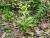Img.VTax3542.Ex3.Img5