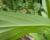 Img.VTax3542.Ex3.Img7