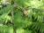 Img.VTax3542.Ex4.Img1