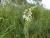 Img.VTax3546.Ex1.Img1