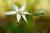 Img.VTax3548.Ex3.Img1