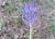 Img.VTax3560.Ex2.Img1