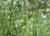 Img.VTax3560.Ex2.Img5