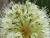 Img.VTax3563.Ex2.Img1
