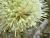 Img.VTax3563.Ex2.Img2