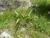 Img.VTax3563.Ex2.Img3