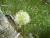 Img.VTax3563.Ex2.Img4