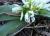 Img.VTax3572.Ex2.Img1
