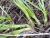 Img.VTax3574.Ex1.Img1