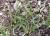 Img.VTax3574.Ex1.Img2