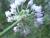 Img.VTax3574.Ex1.Img3
