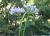 Img.VTax3574.Ex1.Img4