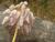 Img.VTax3578.Ex1.Img1
